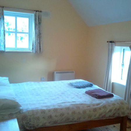 Harmony Hall Veganic Guest House Kilkenny Exterior photo